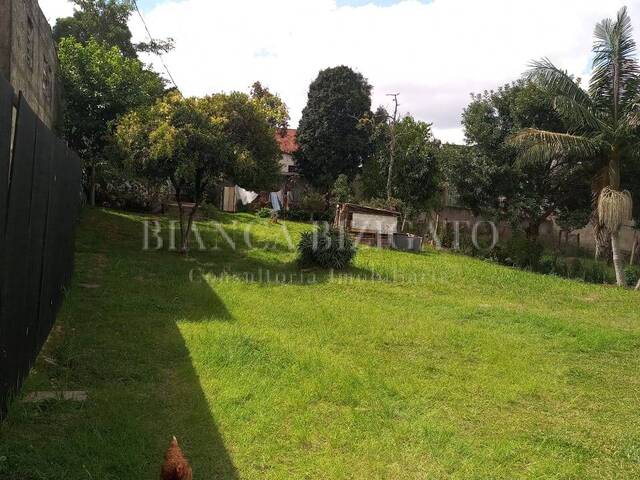 #54 - Área para Venda em Curitiba - PR - 1