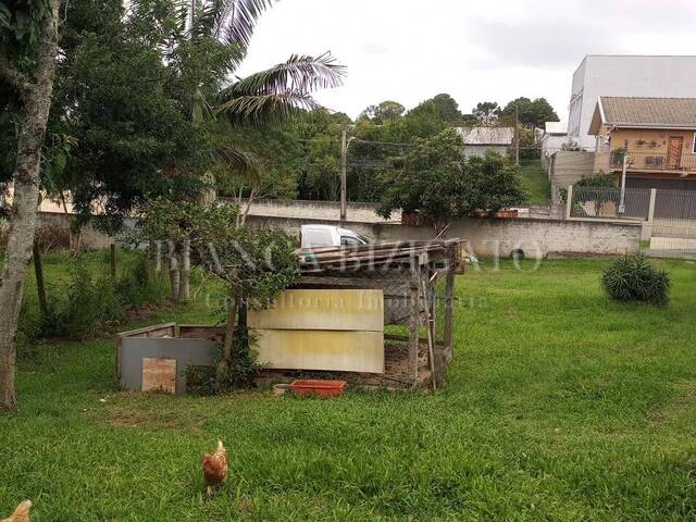 Área para Venda em Curitiba - 4