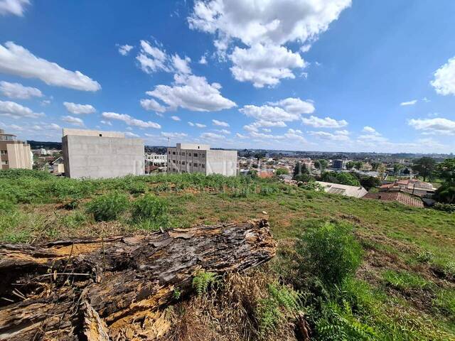 Área para Venda em Pinhais - 5