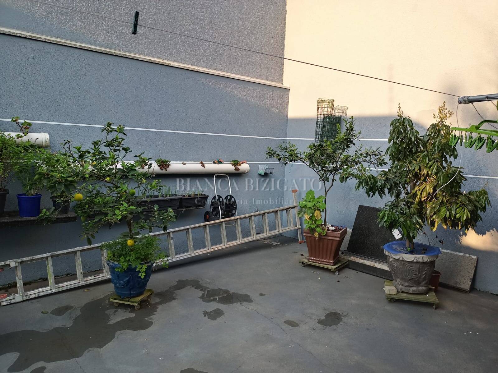 Casa, 5 quartos, 338 m² - Foto 7