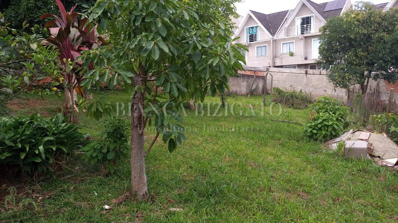 Terreno, 1958 m² - Foto 3