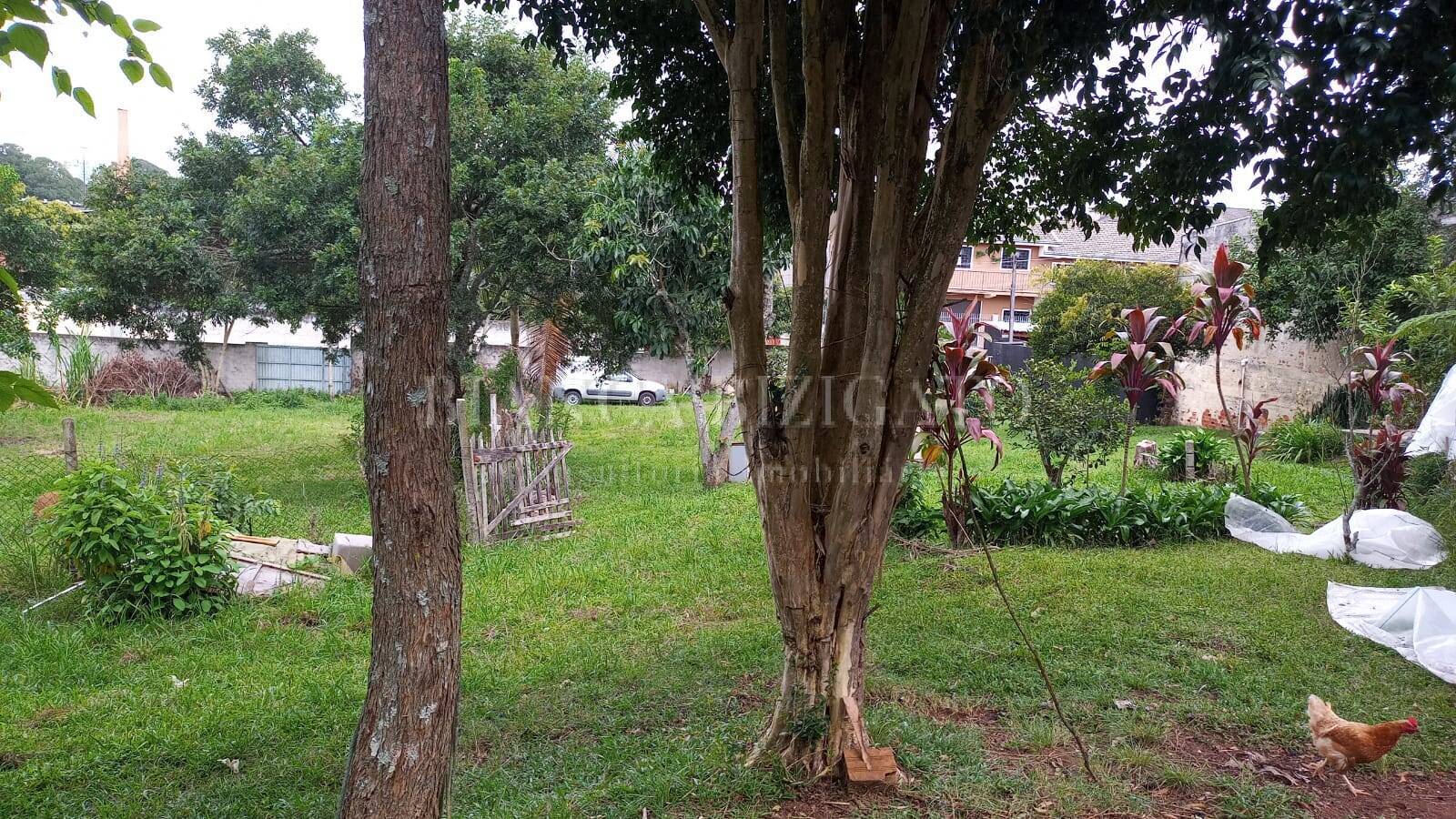 Terreno, 1958 m² - Foto 7