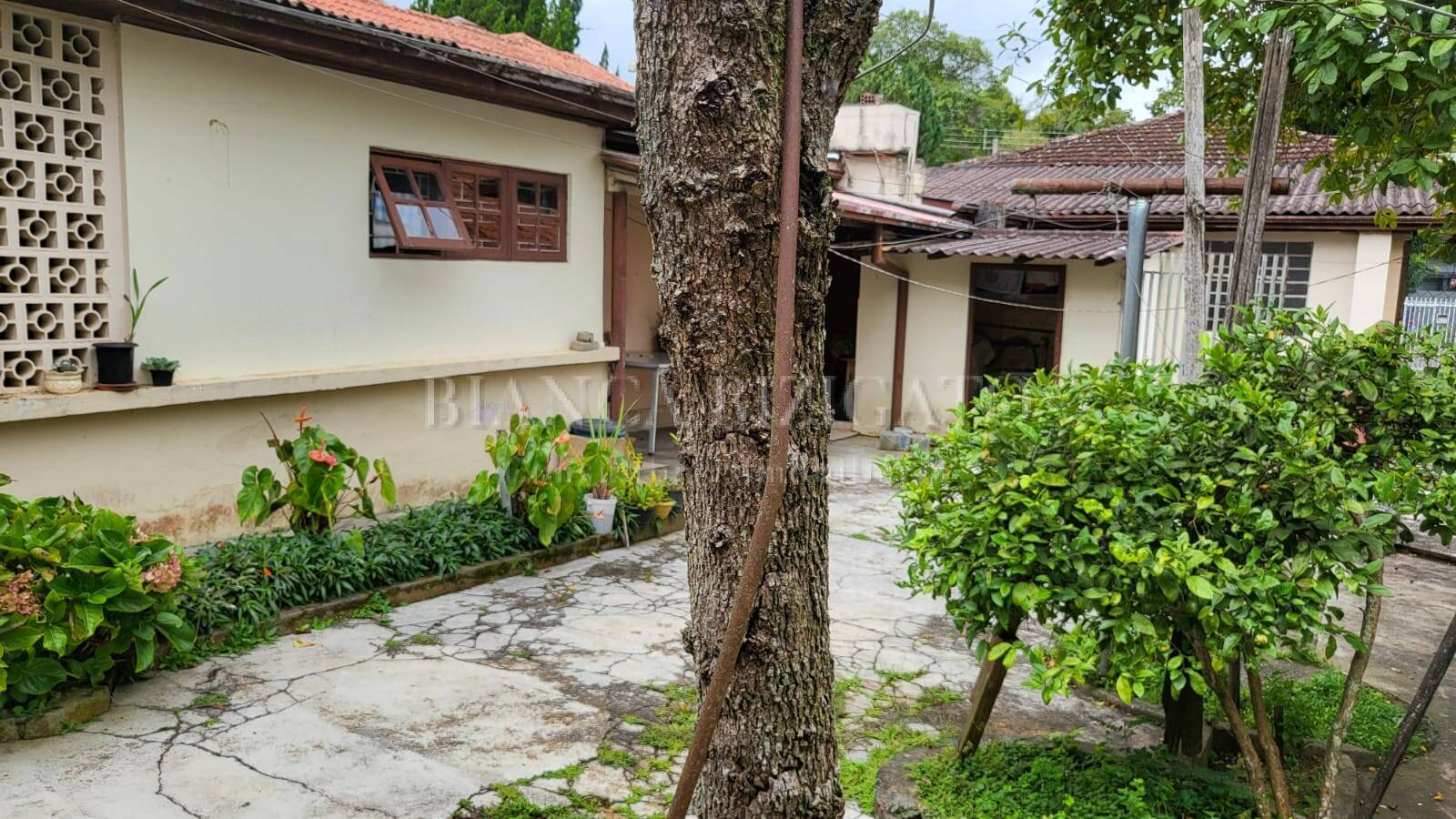 Terreno, 454 m² - Foto 5