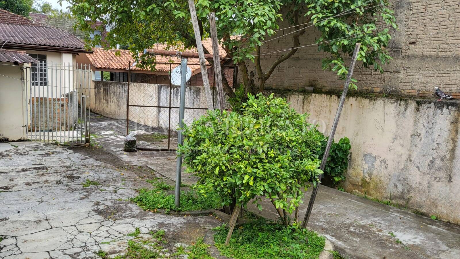 Terreno, 454 m² - Foto 7