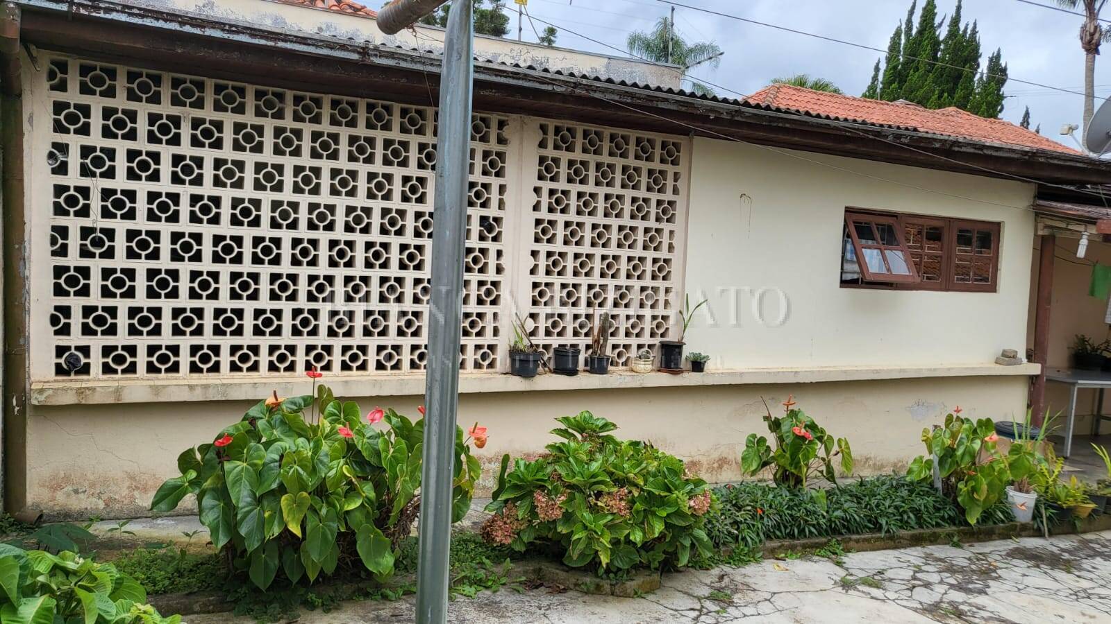 Terreno, 454 m² - Foto 6