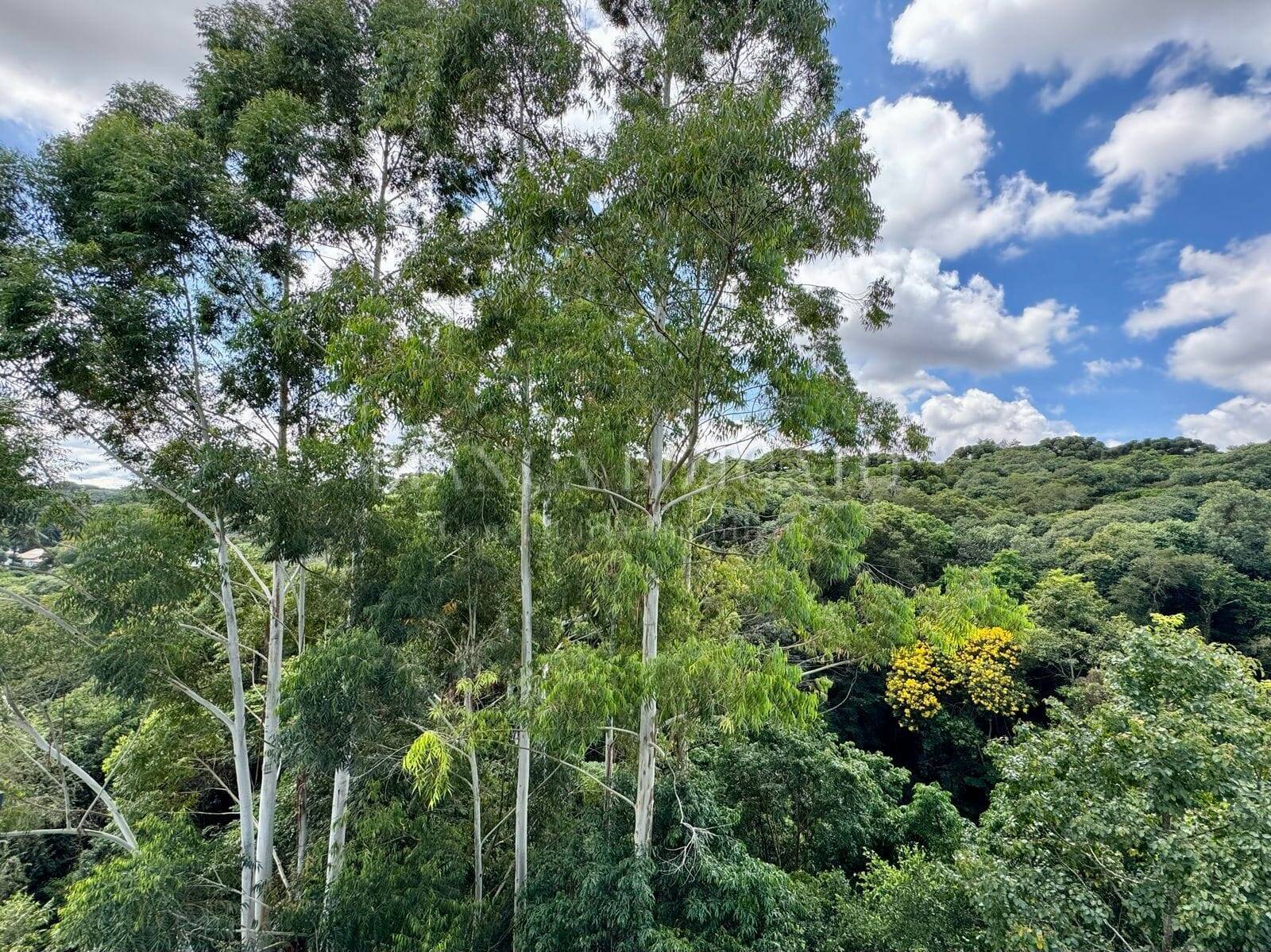 Apartamento, 2 quartos, 115 m² - Foto 16