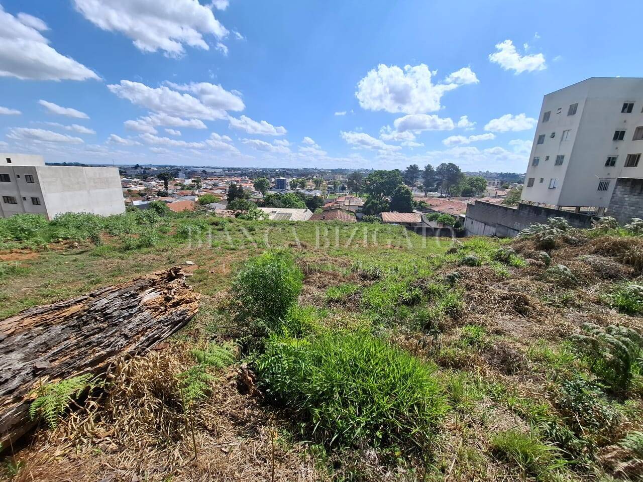 Terreno, 6000 m² - Foto 2