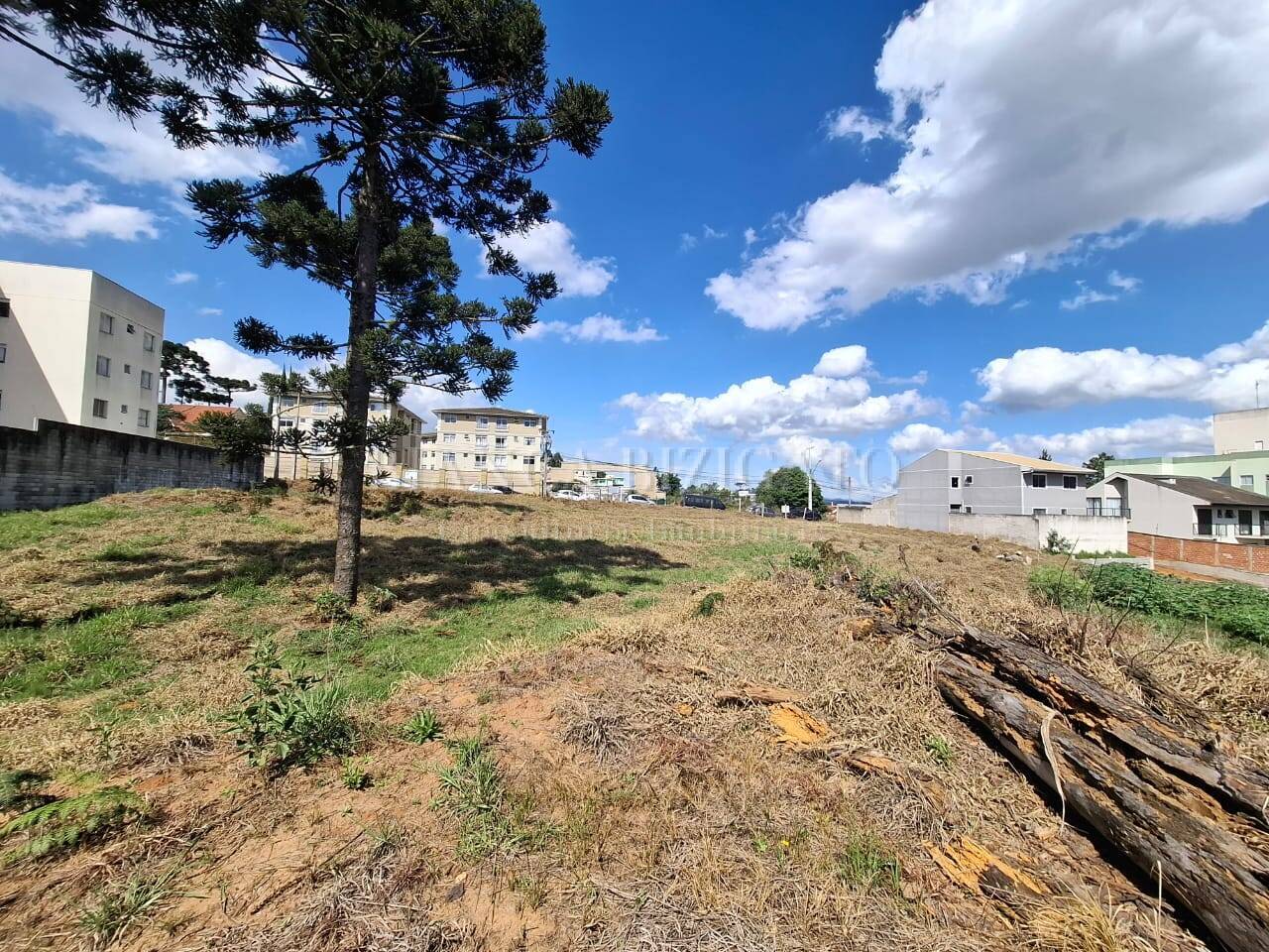 Terreno, 6000 m² - Foto 1