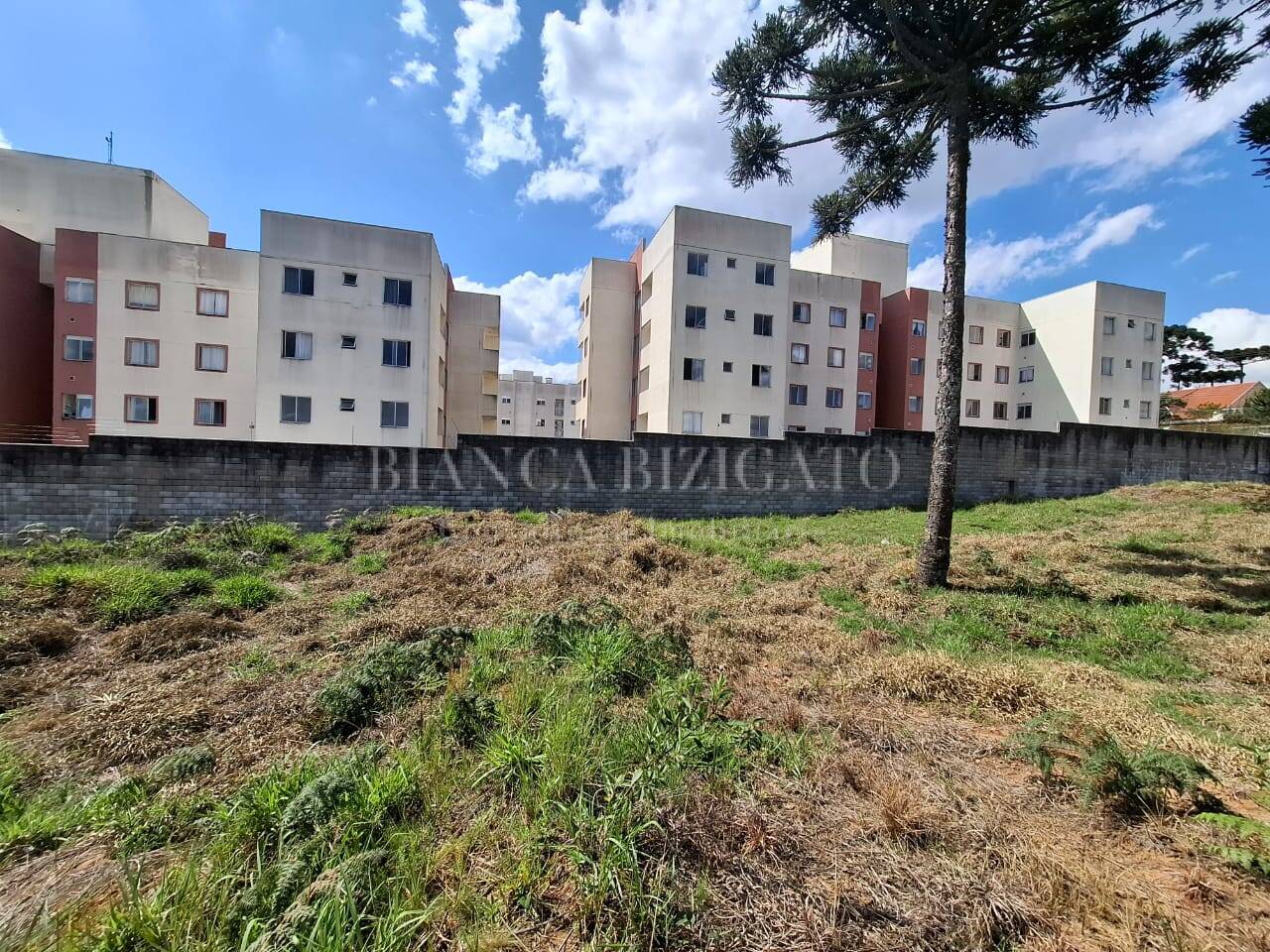 Terreno, 6000 m² - Foto 8